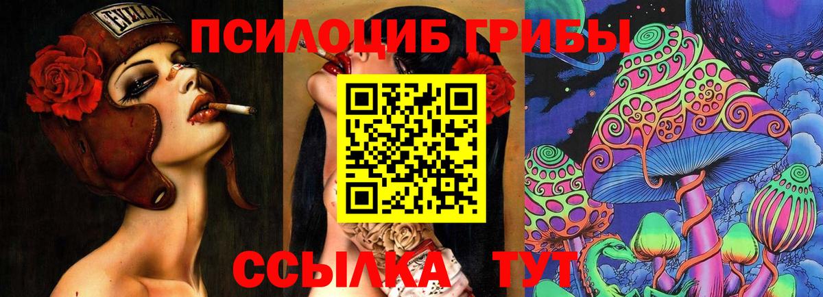 Псилоцибиновые грибы MAGIC MUSHROOMS  Галлюциногенные грибы Magic Shrooms  Вход с VPN  Борисоглебск 